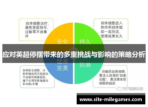 应对英超停摆带来的多重挑战与影响的策略分析